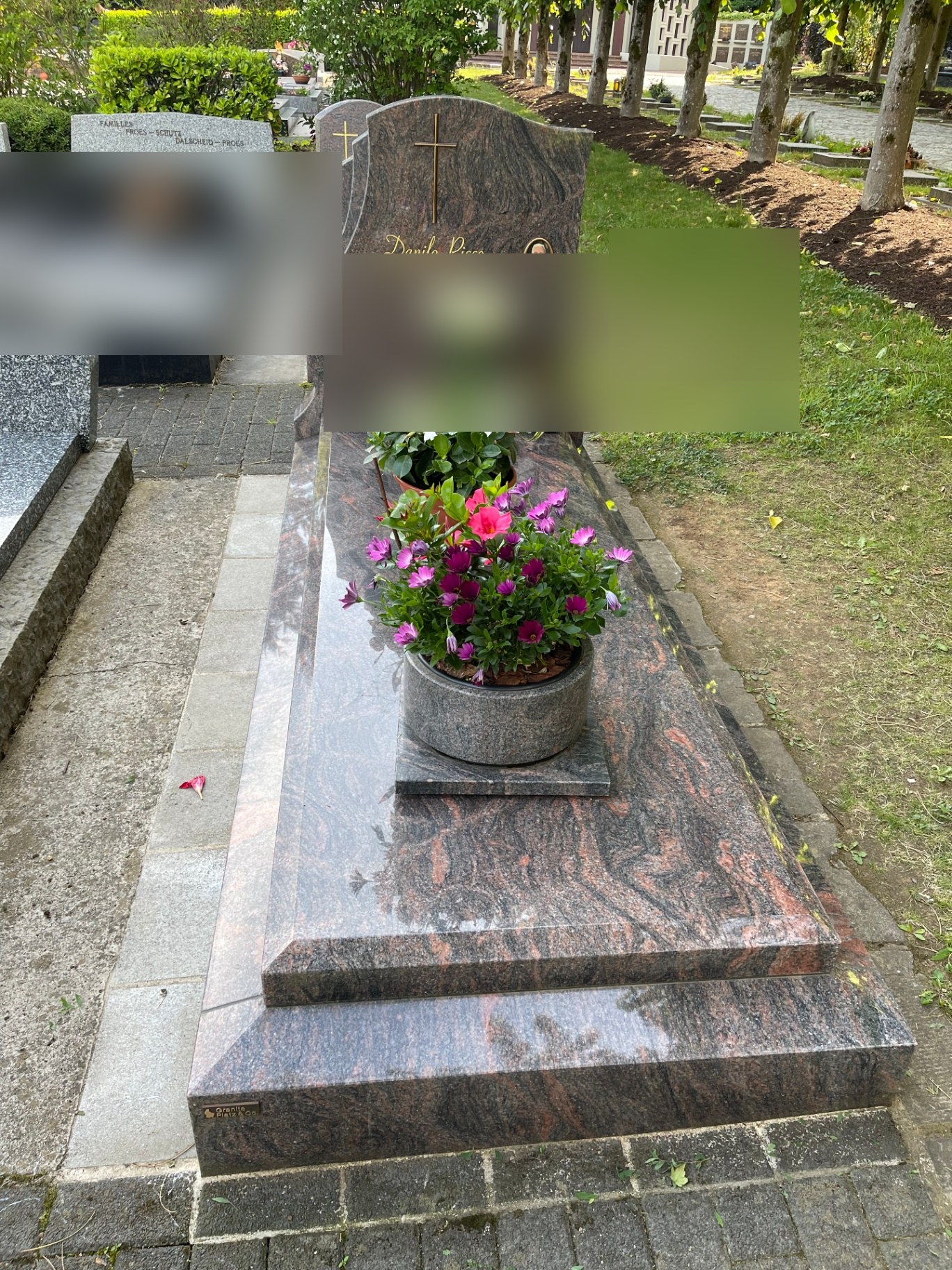Sarcophage aurora fleuri